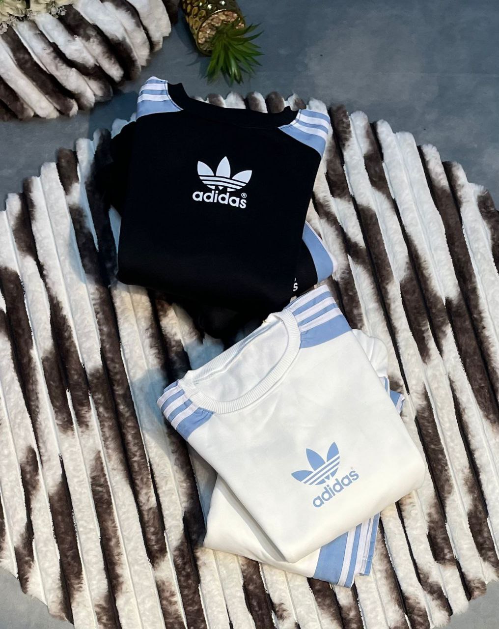 /public/uploads/photos/shares/A kyj/IMG_5985.jpeg